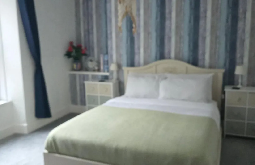 Bluebells Guest House-1