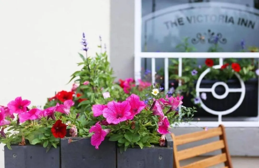 The Victoria Inn-1