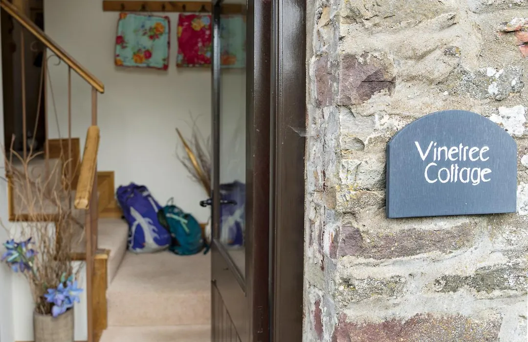 Neuadd B&B Suites-1