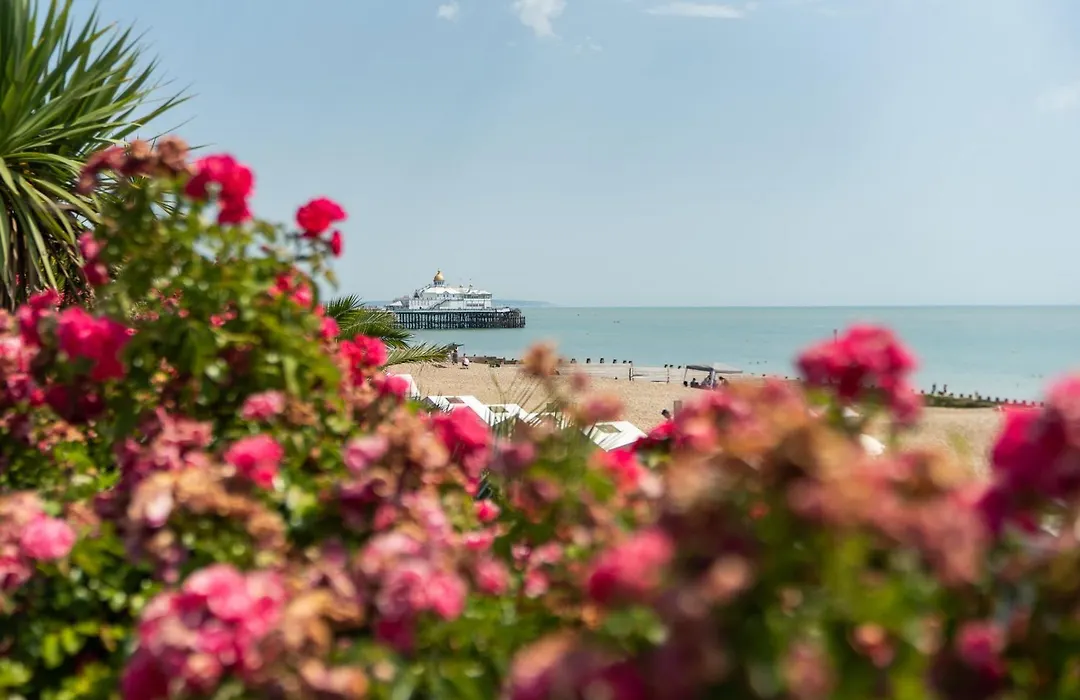 The Lansdowne, Eastbourne-1