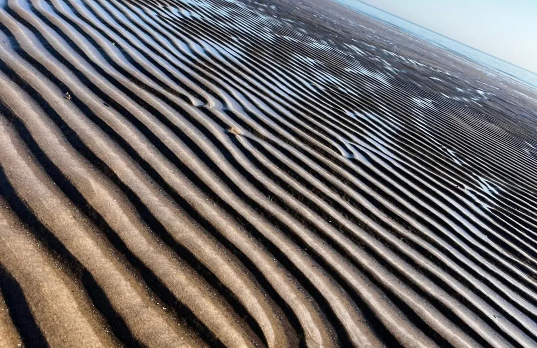 Dune Cottage-1