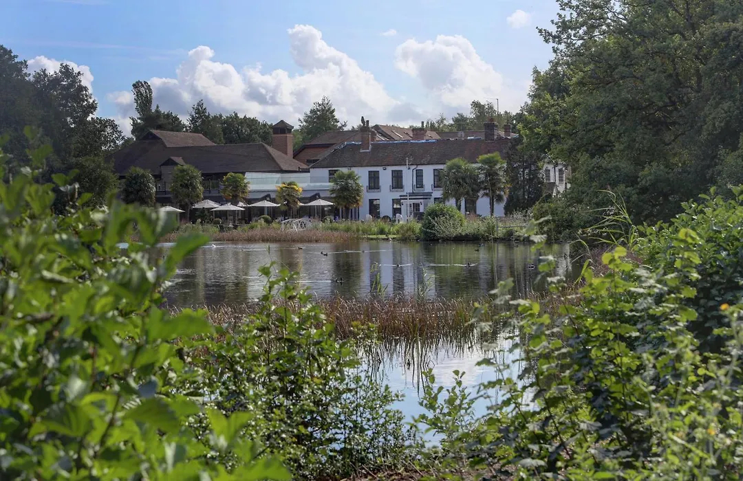 Frensham Pond Country House Hotel & Spa-1