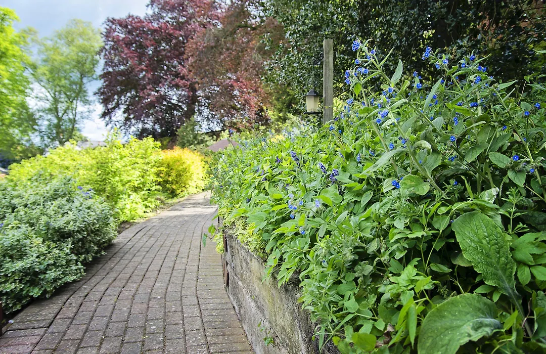 Waveney House Hotel-1