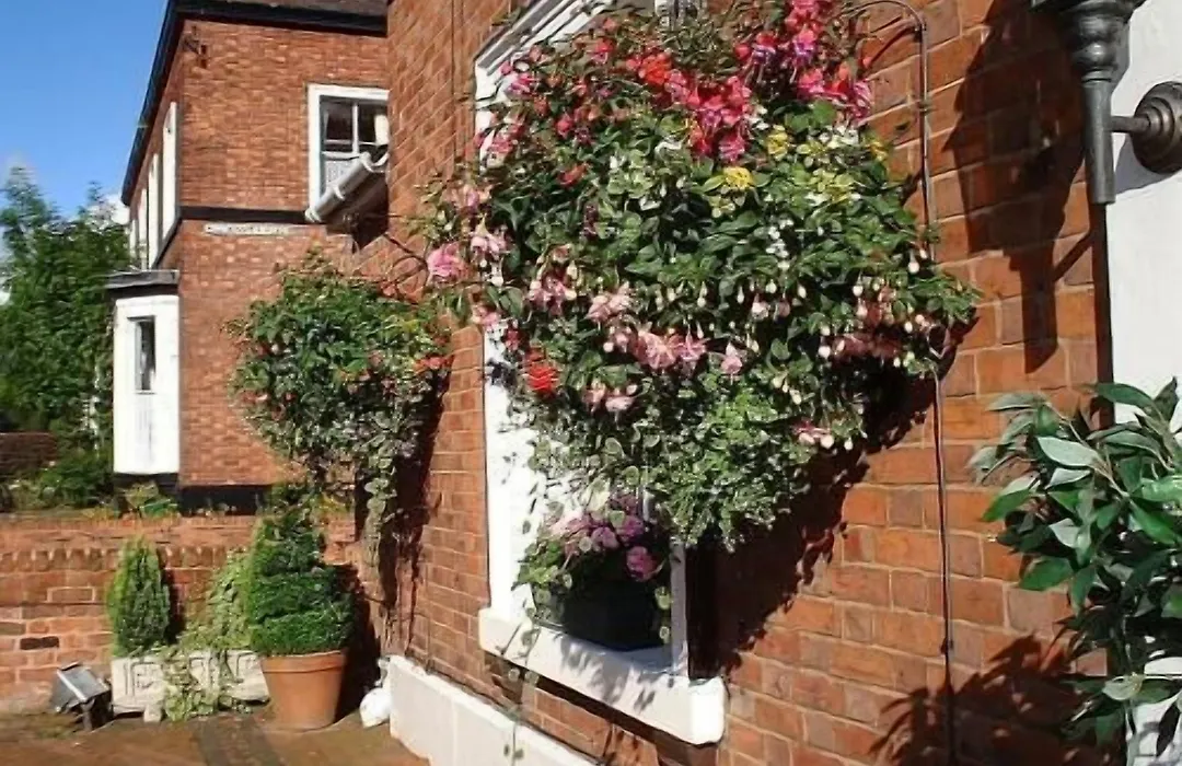 Ba Ba Guest House-1