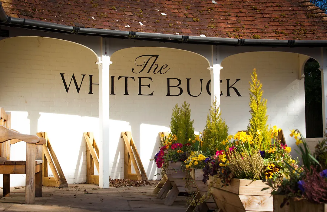 The White Buck-1