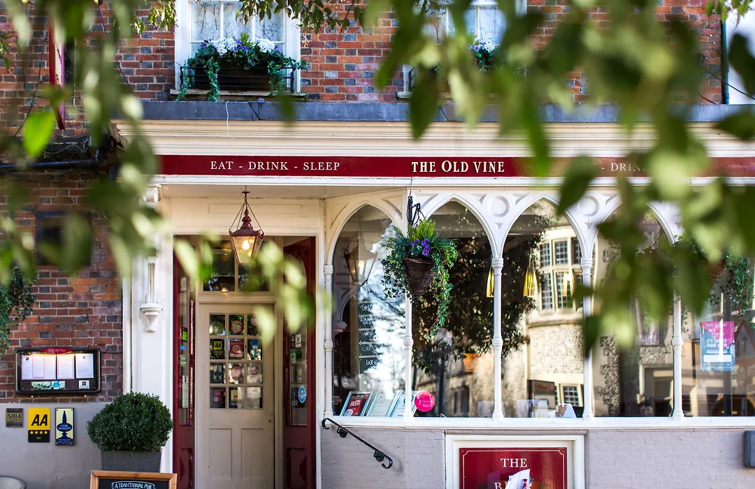 The Old Vine-1