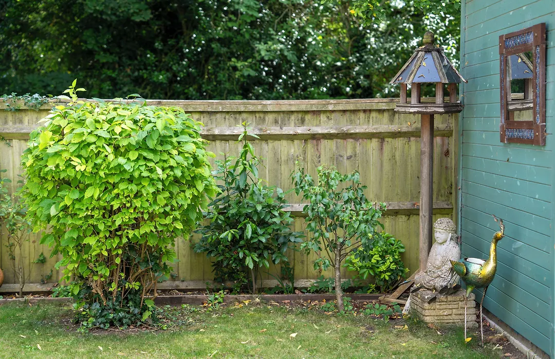 Marlborough House - Guest House-1