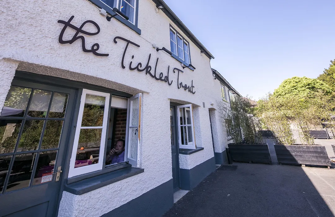 The Tickled Trout-1