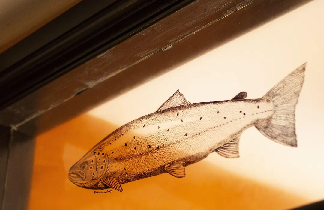 The Leaping Salmon-1