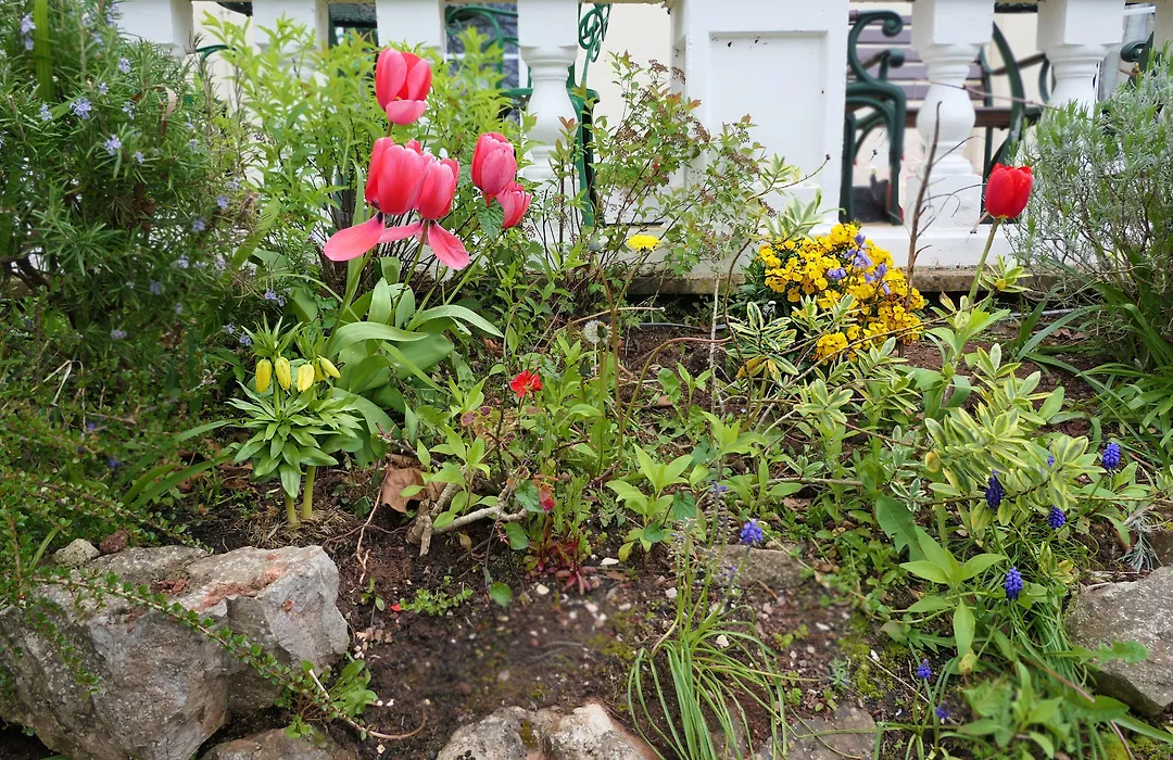 Fleurie Guest House-1