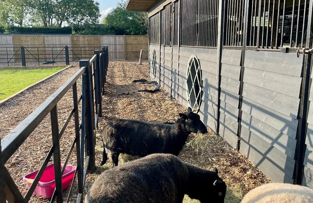 Willow Court Farm Studio East & Petting Farm, 8 Mins To Legoland & Windsor, 15 Mins To Lapland Uk-1