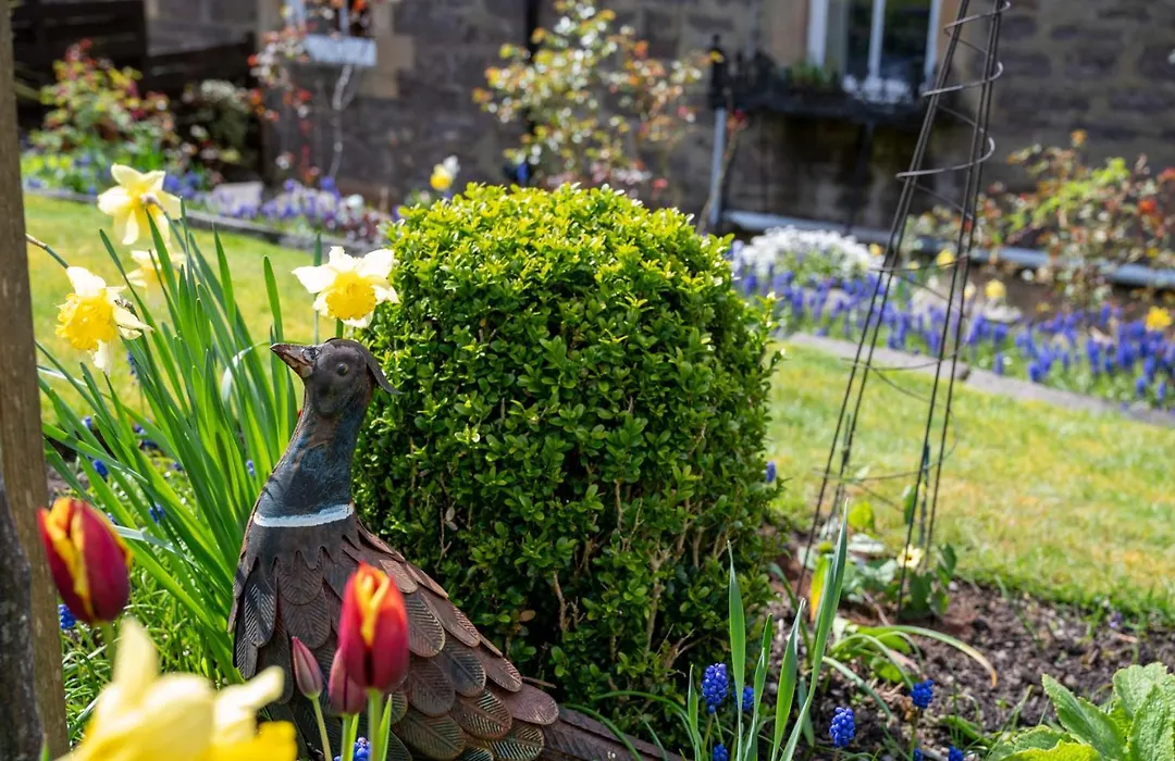 Leven House Bed And Breakfast-1