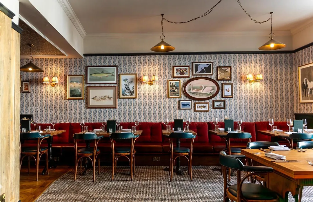 The Swan-1