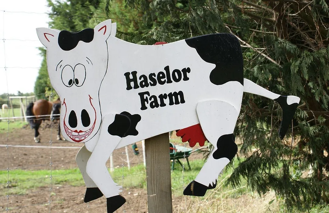 Haselor Farm B & B-1