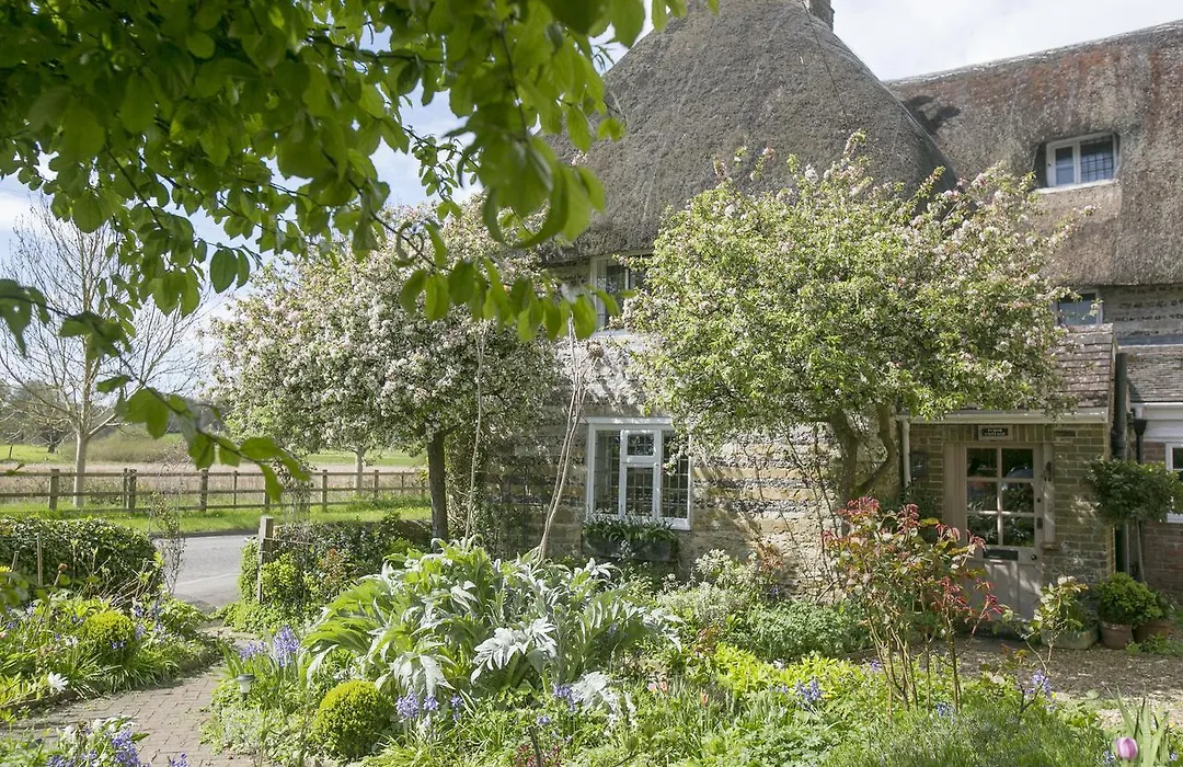 Tudor Cottage B&B Frampton-1