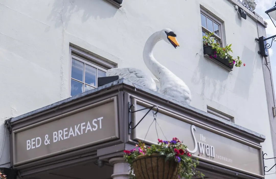 The Swan-1