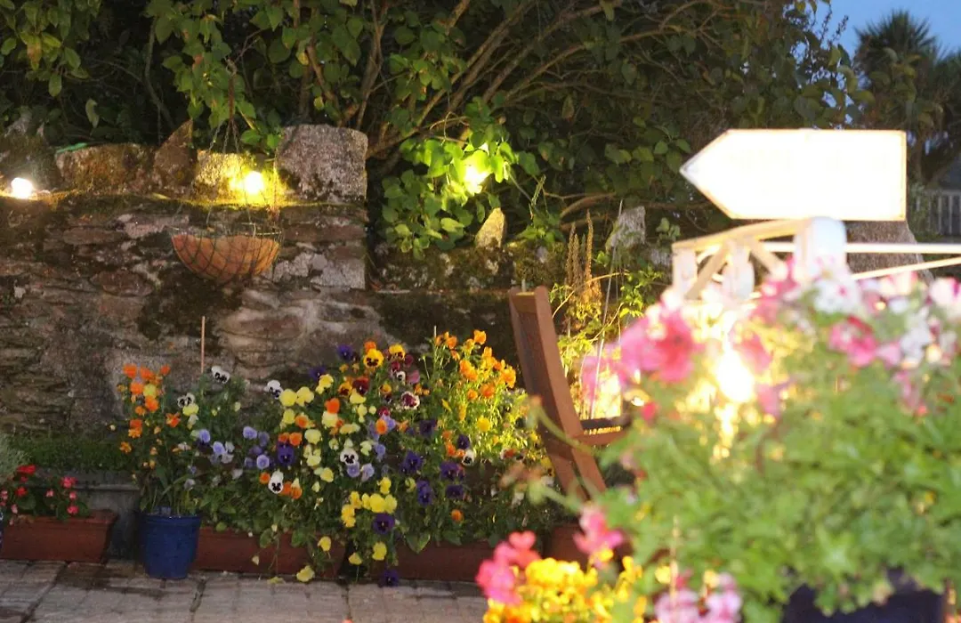 Silver Birch Guesthouse-1