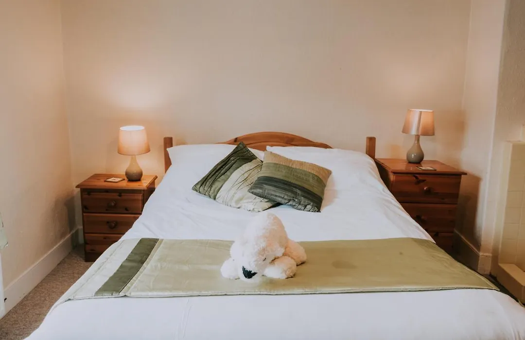 The White Bear-1