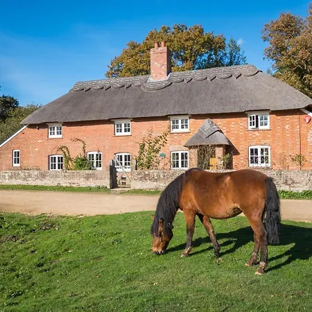Thatched Cottage-2