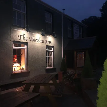 Rheolau Arms-2