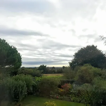 Holly House B&B-3