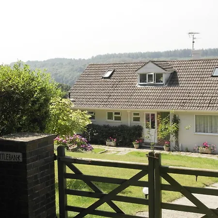 Nettle Bank-3