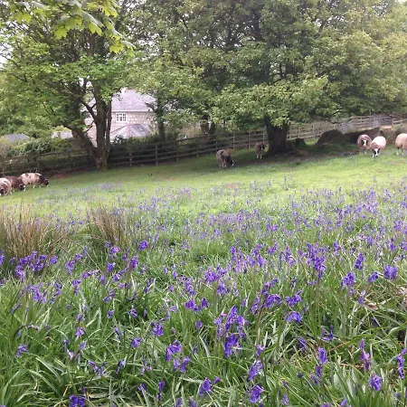Coombe Farmhouse-2