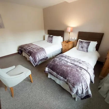 Elm Guest House-2