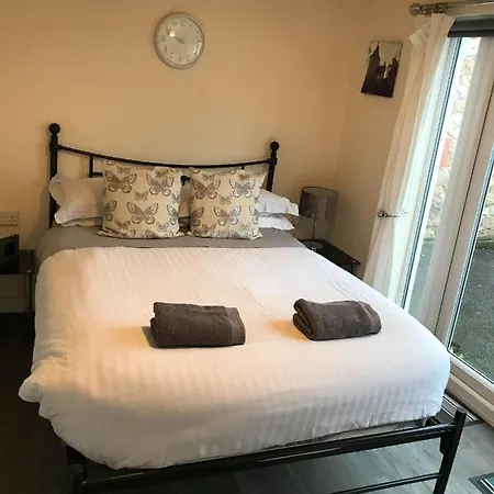 Ty Mynydd Lodge Holiday Home-3