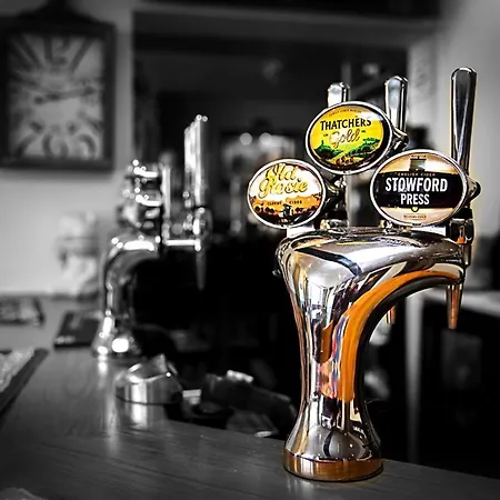 The White Bear-3