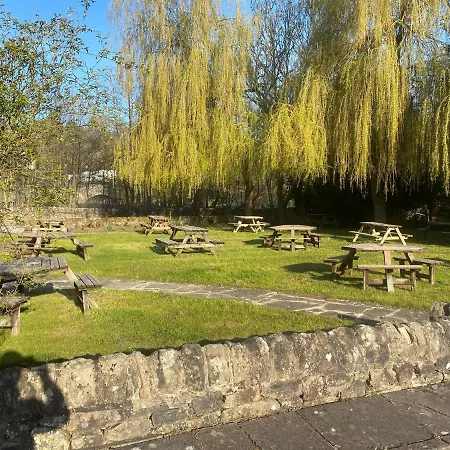 The Royal Oak-2