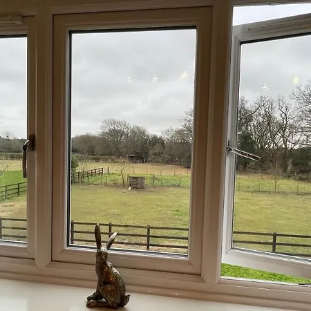 Graceland Farm B&B-3