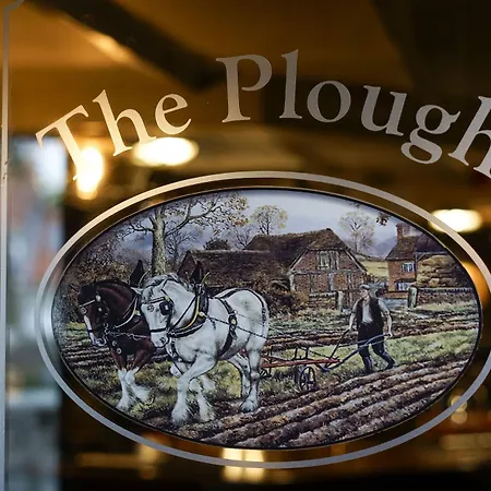 The Plough-3