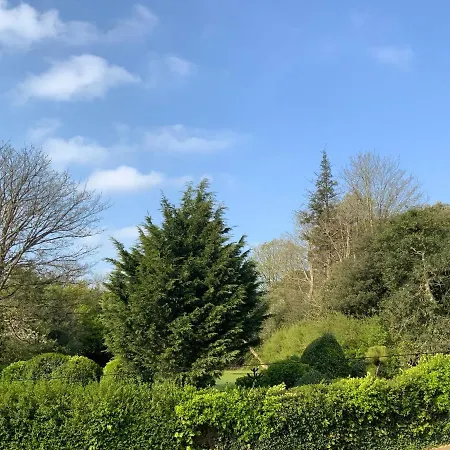 The Knowle At St Leonards-3