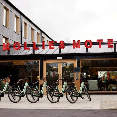 Mollie'S Bristol-2