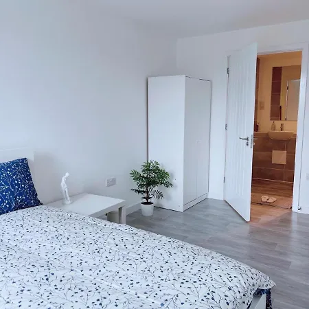 Modern House-2