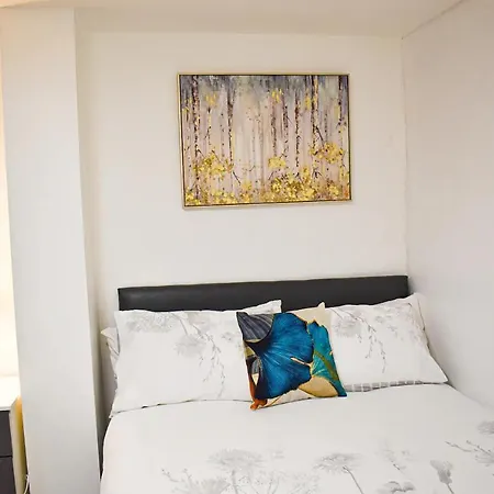 Birmingham City Centre Apartment Room Near China Town-3