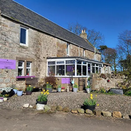 Scooniehill Farm House B&B-2