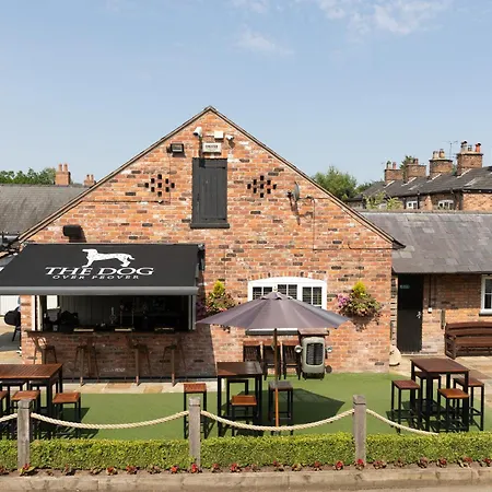 The Dog In Over Peover-2