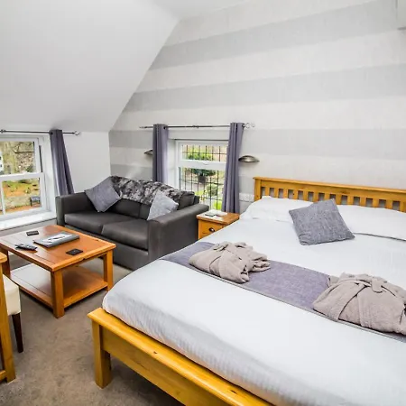 The Saxon Inn-3