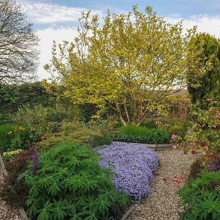 Ballas Farm Country Guest House-2
