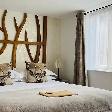 Cottage Lodge Hotel-3