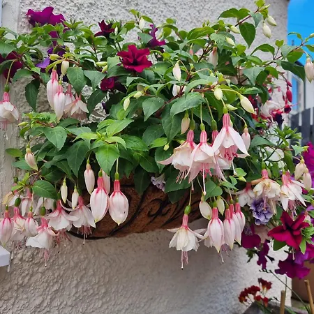 St Leonards Guest House-3