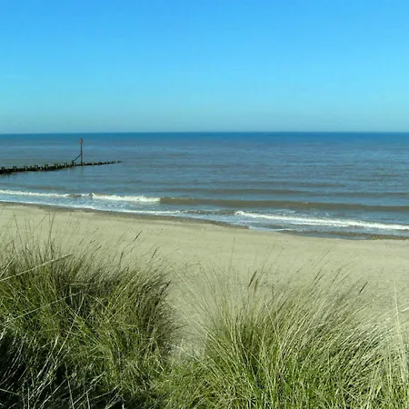 Seals Bacton-2