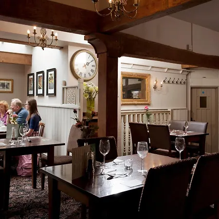 The Dog & Bear Hotel-2