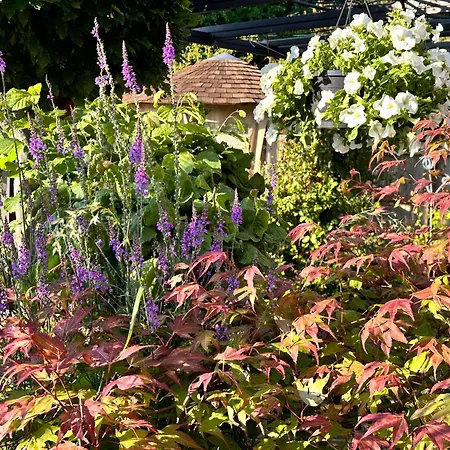 Bybrook Barn - The Secret Little B&B, Swithland,Bradgate Park, Leicestershire-2