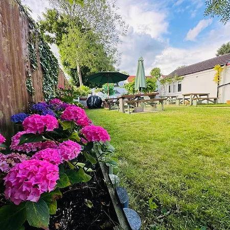 Oxford Guest House-3
