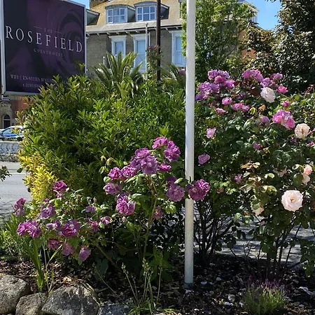 The Rosefield-3