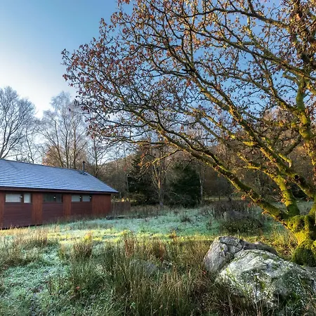 Beddgelert Cabins, Snowdonia - Forest Holidays-3