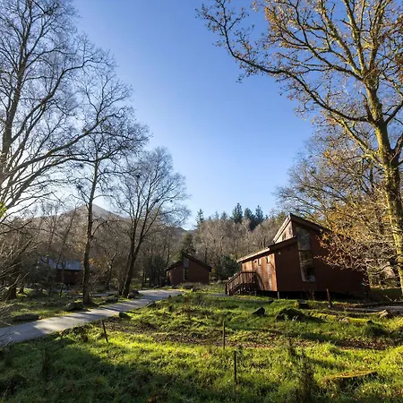 Beddgelert Cabins, Snowdonia - Forest Holidays-2